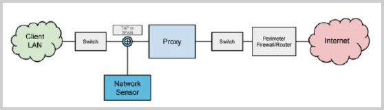 Network Sensor deployment