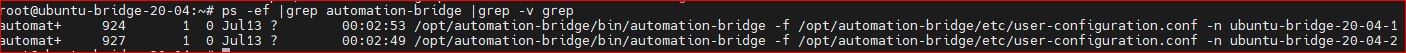 Example of running automation-bridge