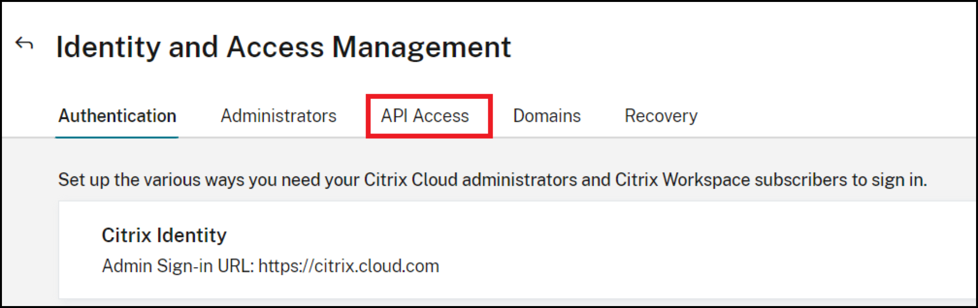 <api-access.png>